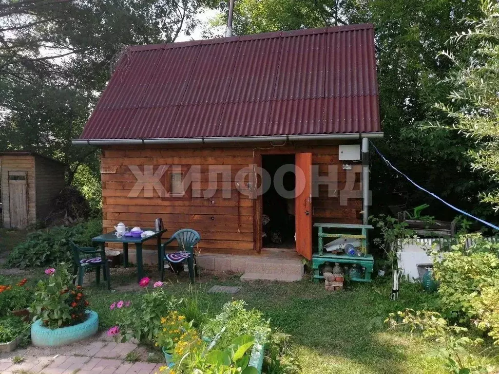 Участок в Новосибирская область, Новосибирский район, Кудряшовский ... - Фото 2