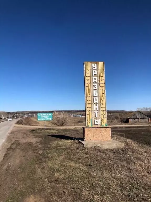 Участок в Башкортостан, Чишминский район, Алкинский сельсовет, с. ... - Фото 0