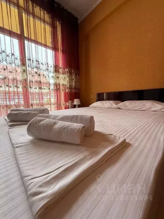 Комната Краснодарский край, Сочи Адлер жилрайон, ул. Чкалова, 34/2 - Фото 2