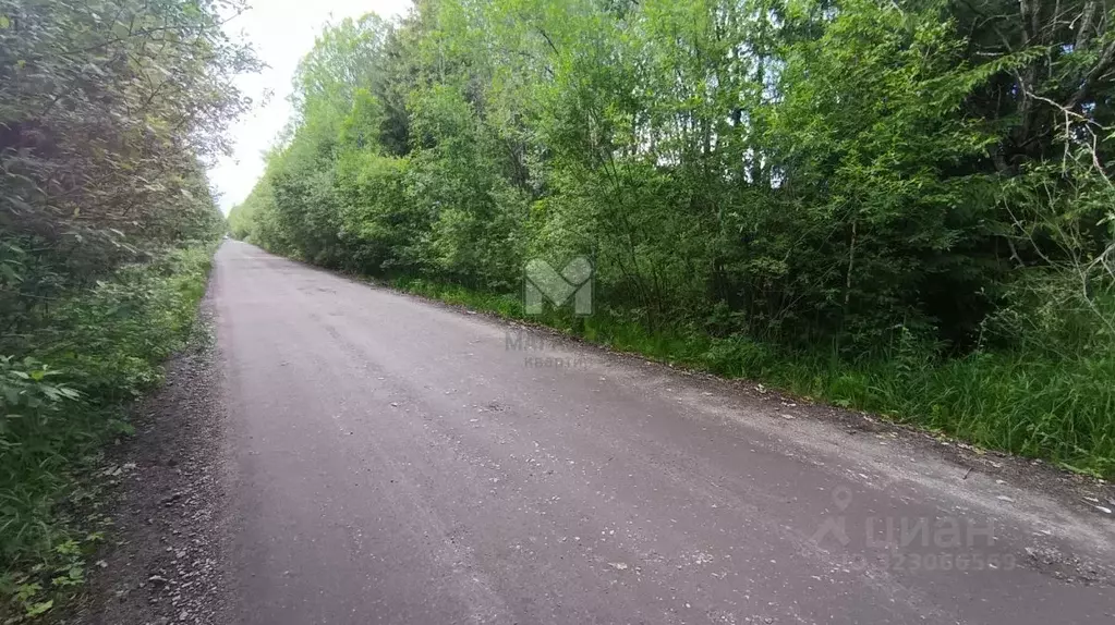 Участок в Ленинградская область, Лужский район, Мшинское с/пос, ... - Фото 2