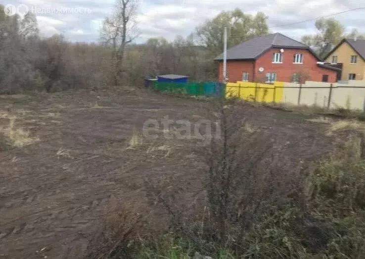 Участок в Пестречинский район, Богородское сельское поселение, село ... - Фото 1