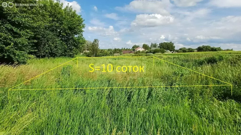 Участок в Староселье, Центральная улица (10 м) - Фото 0