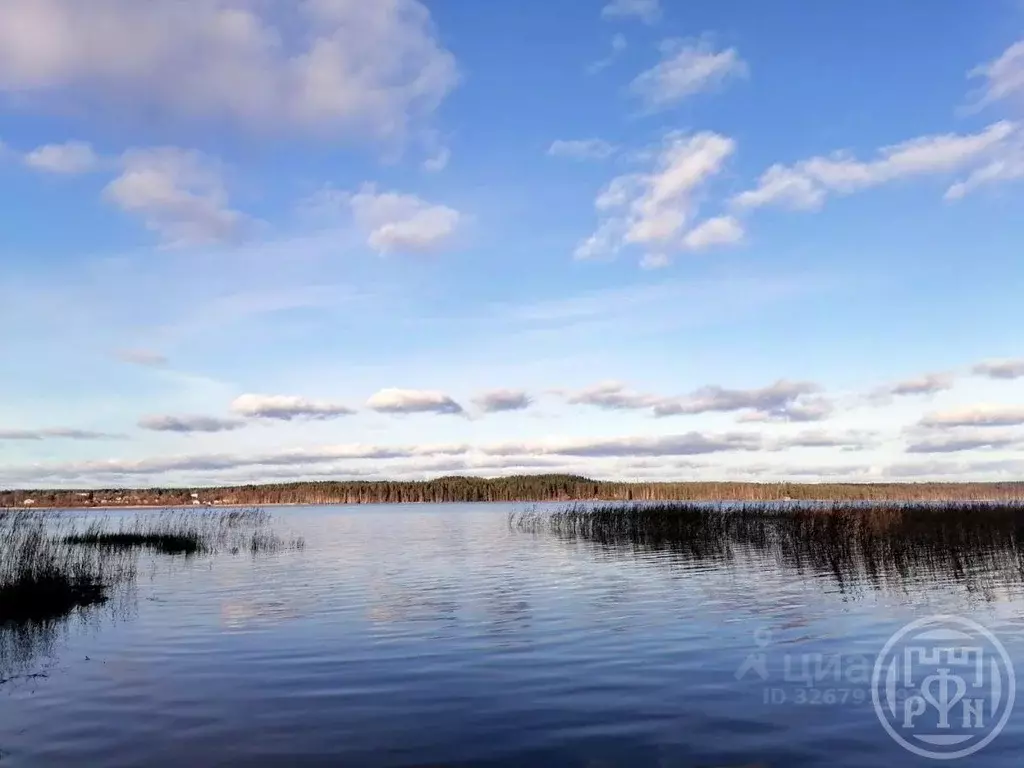 Участок в Ленинградская область, Выборгский район, Красносельское ... - Фото 2