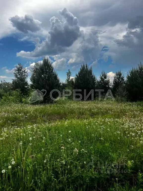 Участок в Тюменская область, Тюменский район, д. Зубарева Центральная ... - Фото 1