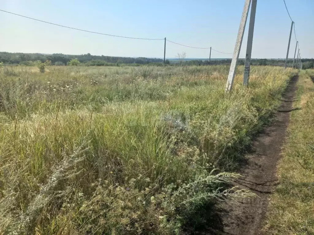 Участок в Белгородская область, Белгородский район, Дубовское с/пос, ... - Фото 1