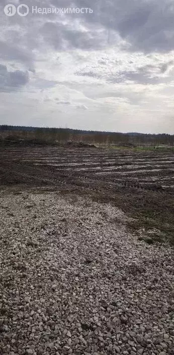 Участок в Лопухинское сельское поселение, коттеджный посёлок Бурёнка ... - Фото 2