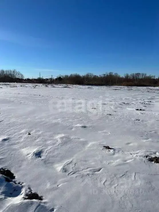Участок в Амурская область, Благовещенский район, Станичное тер.  ... - Фото 0
