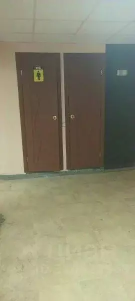 Помещение свободного назначения в Псковская область, Невель пл. Карла ... - Фото 1