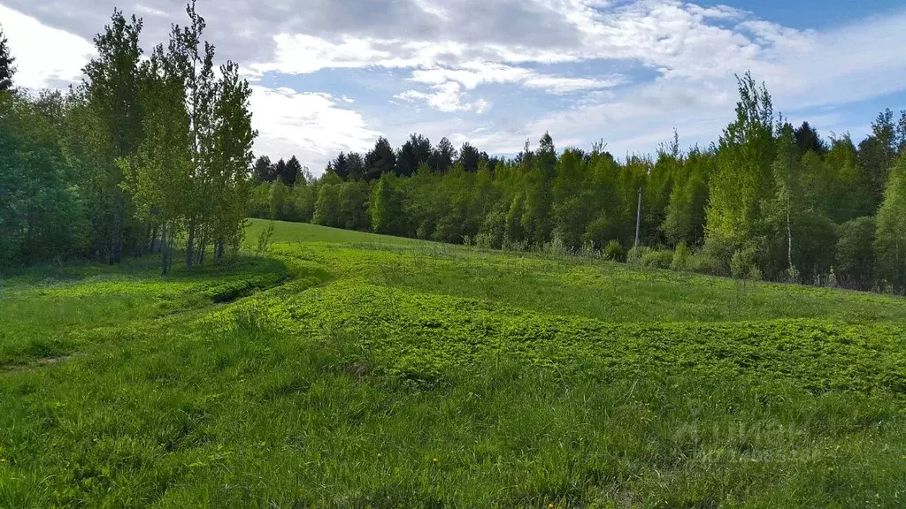Участок в Тверская область, Торопецкий район, д. Речане  (166.0 сот.) - Фото 1