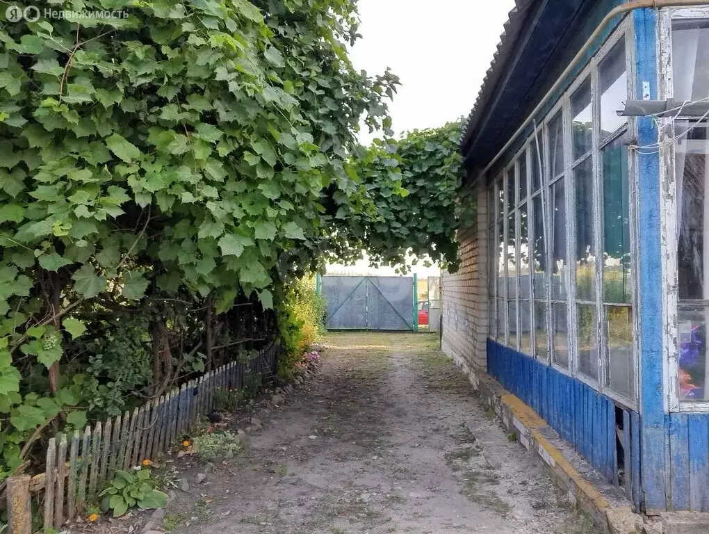 Дом в Белгородская область, рабочий посёлок Вейделевка, улица Свободы ... - Фото 2
