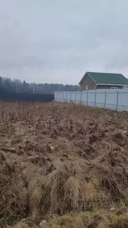 Участок в Владимирская область, Александровский муниципальный округ, ... - Фото 1