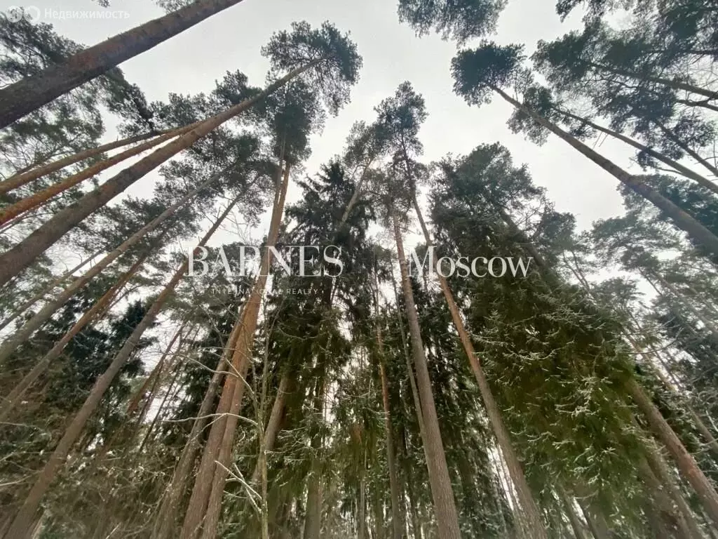 Участок в Одинцовский городской округ, посёлок Сосны (28 м) - Фото 1