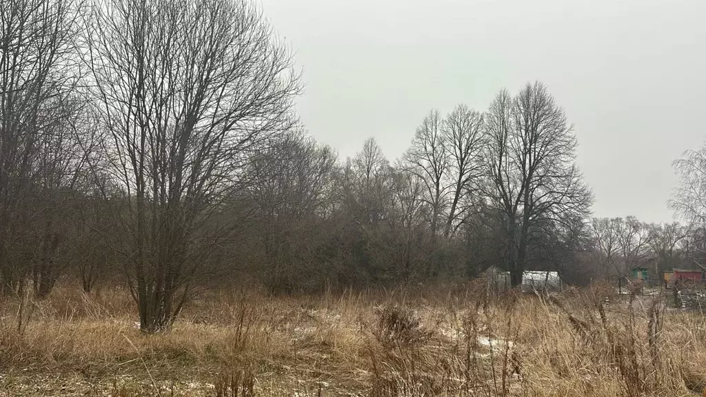 Участок в Московская область, Ступино городской округ, д. Дворяниново  ... - Фото 0
