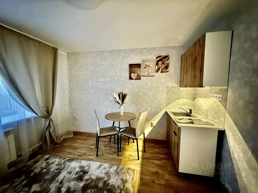 Студия Пермский край, Пермь ул. Чайковского, 20 (18.0 м) - Фото 1