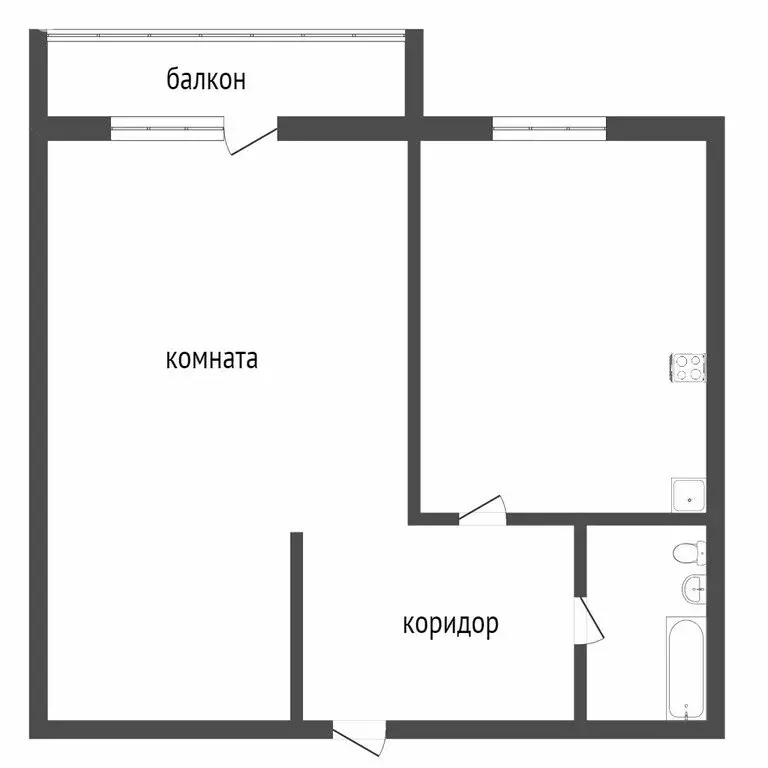 1-комнатная квартира: Ишим, улица Одоевского, 38 (29.9 м) - Фото 1
