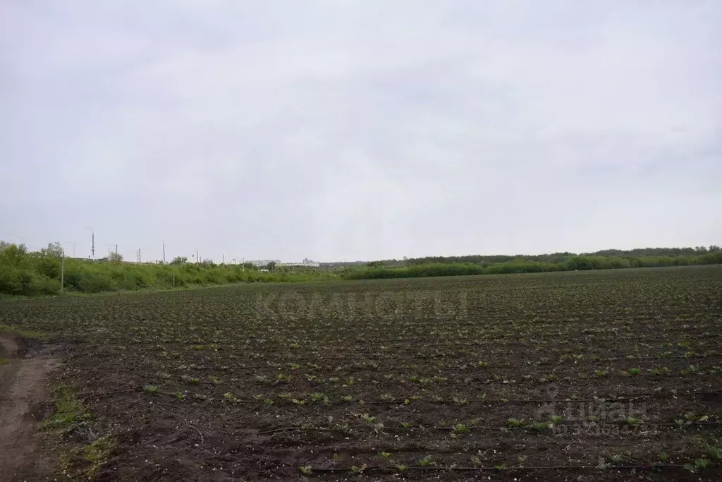 Участок в Воронежская область, с. Семилуки ул. Ленина, 17 (364.0 сот.) - Фото 1