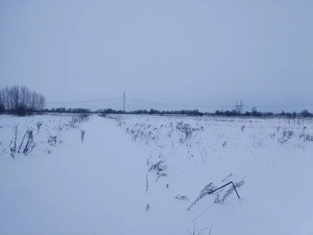 Участок в Московская область, Можайский муниципальный округ, пос. 4-го ... - Фото 2