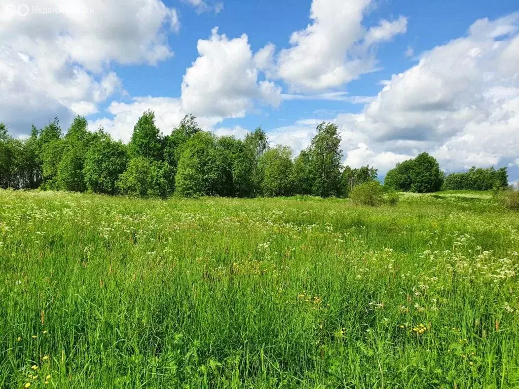 Участок в Череповецкий район, муниципальное образование Югское, село ... - Фото 1