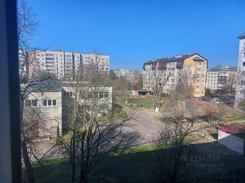 1-к кв. Калининградская область, Калининград Батальная ул., 81 (30.6 ... - Фото 1