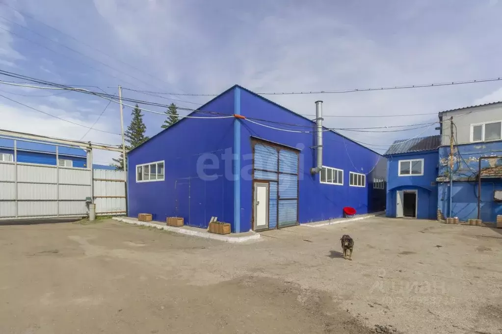 Склад в Омская область, Омск ул. Лесоперевалка, 3 (260 м) - Фото 2