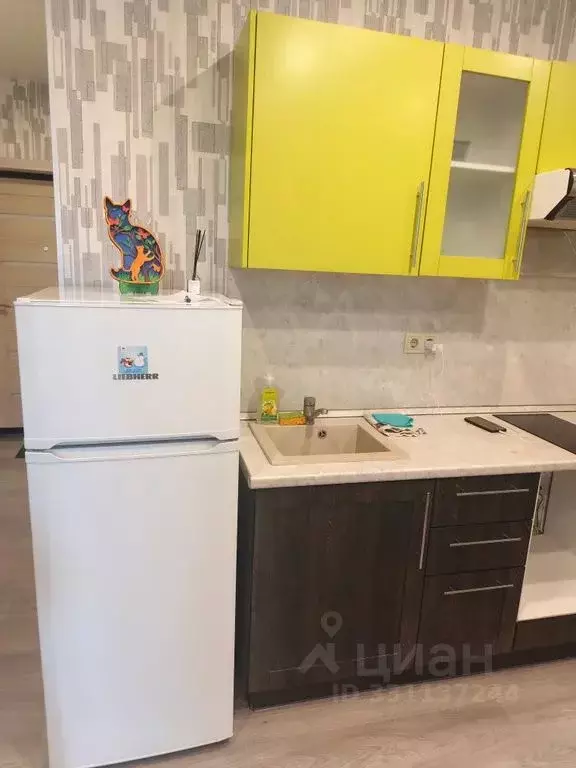 Студия Московская область, Звенигород Одинцовский городской округ, ... - Фото 2