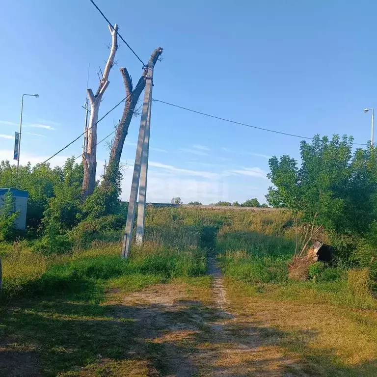 Участок в Белгородская область, Чернянка рп пер. Свердлова (10.0 сот.) - Фото 1