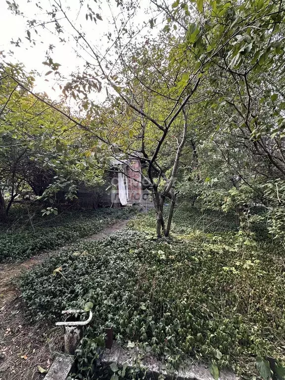 Участок в Ростов-на-Дону, СТ Светлый путь, 62 (6 м) - Фото 2