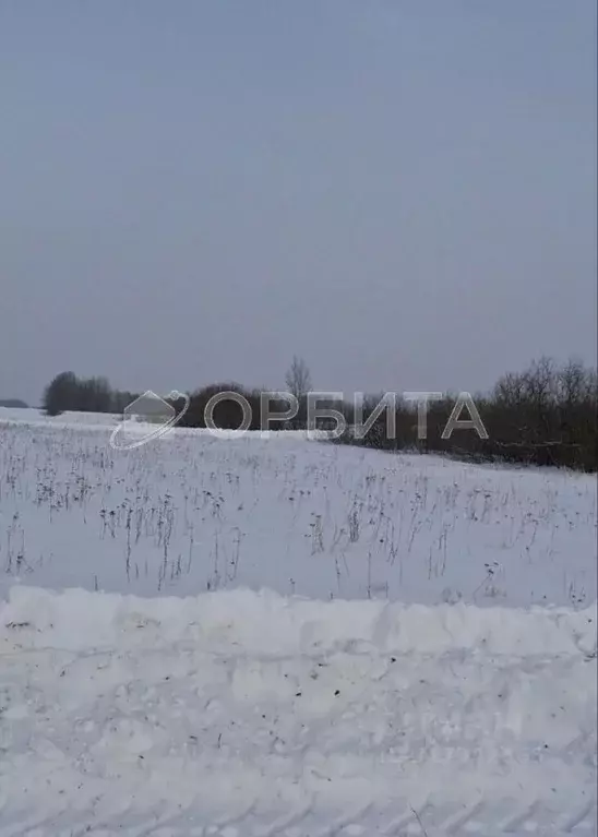 Участок в Тюменская область, Тюменский район, д. Марай  (8.7 сот.) - Фото 0
