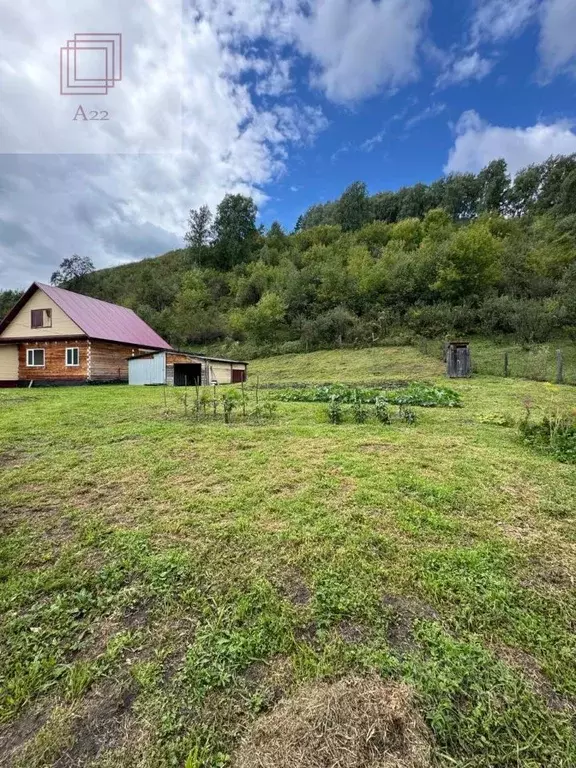 Дом в Алтайский край, Алтайский район, с. Сараса Красноармейская ул., ... - Фото 0