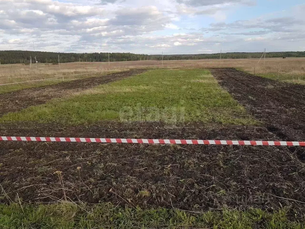 Участок в Красноярский край, Емельяновский муниципальный округ, с. ... - Фото 1