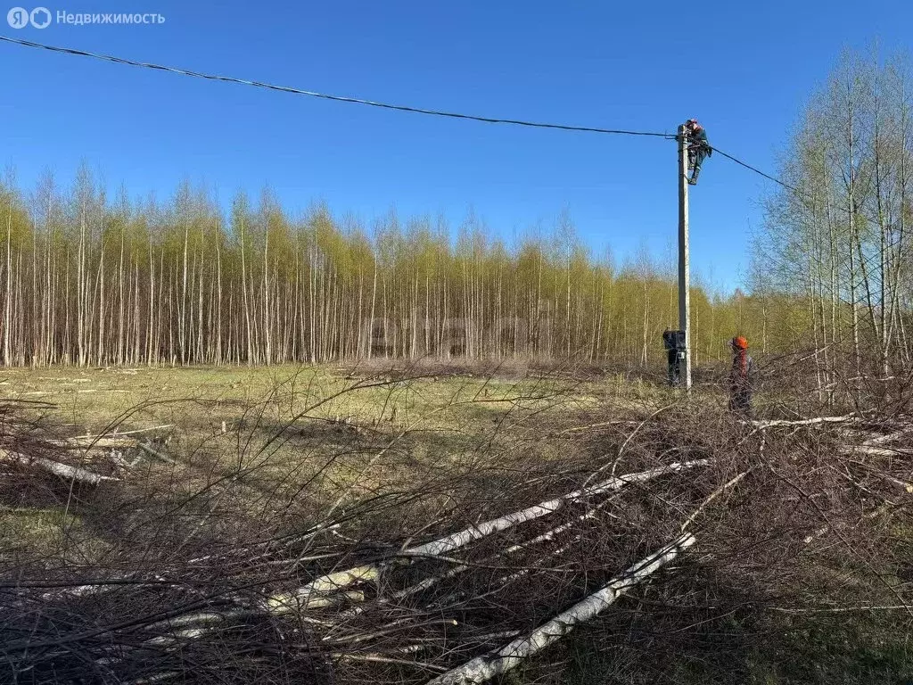 Участок в Костромской район, Караваевское сельское поселение, СТ ... - Фото 2