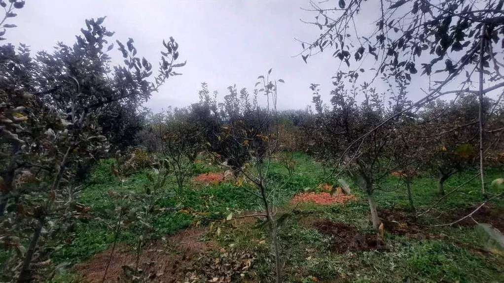 Участок в Кабардино-Балкария, Баксан ул. Защитников, 236 (10.0 сот.) - Фото 1