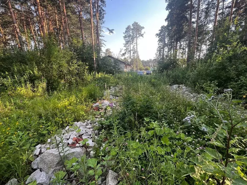 Участок в Свердловская область, Екатеринбург Застава ДНТ, 3 (25.0 ... - Фото 0