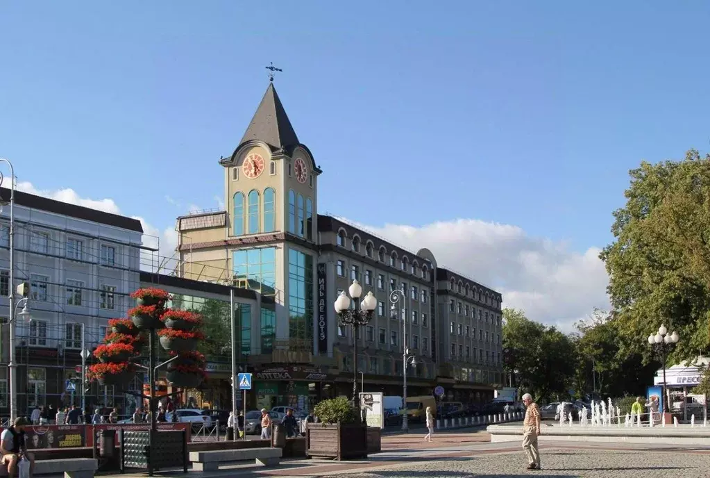 Офис в Калининградская область, Калининград пл. Победы, 4А (43 м) - Фото 2