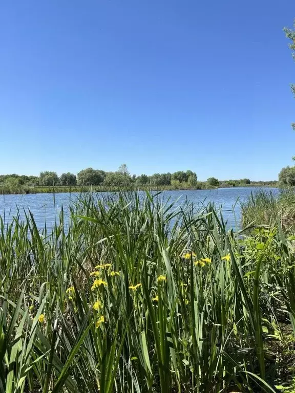 2-к кв. Самарская область, Красноярский район, Волжский рп ул. ... - Фото 0