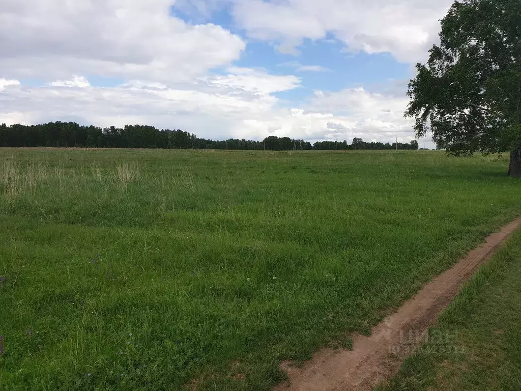 Участок в Новосибирская область, Искитимский район, д. Бурмистрово  ... - Фото 2