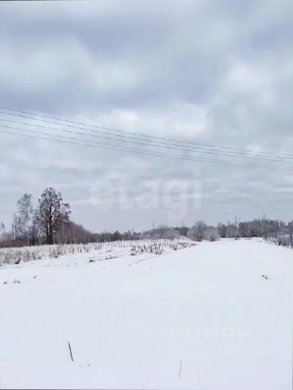 Участок в Ярославская область, Тутаевский муниципальный округ, д. ... - Фото 1