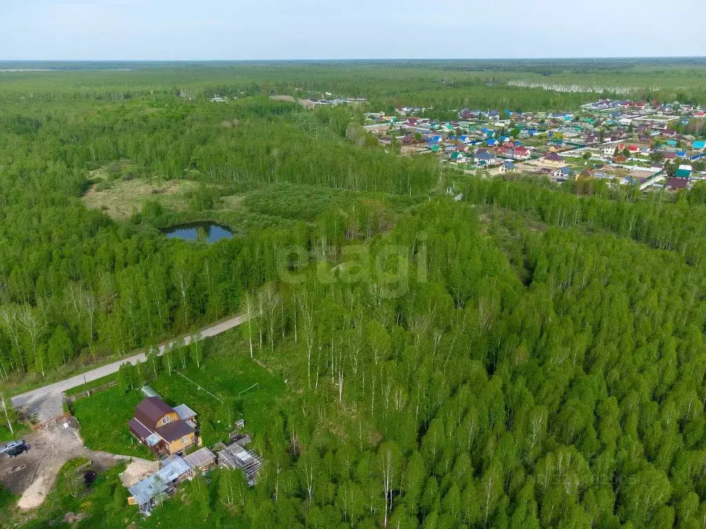 Участок в Тюменская область, Нижнетавдинский район, Сундукуль СНТ ул. ... - Фото 0