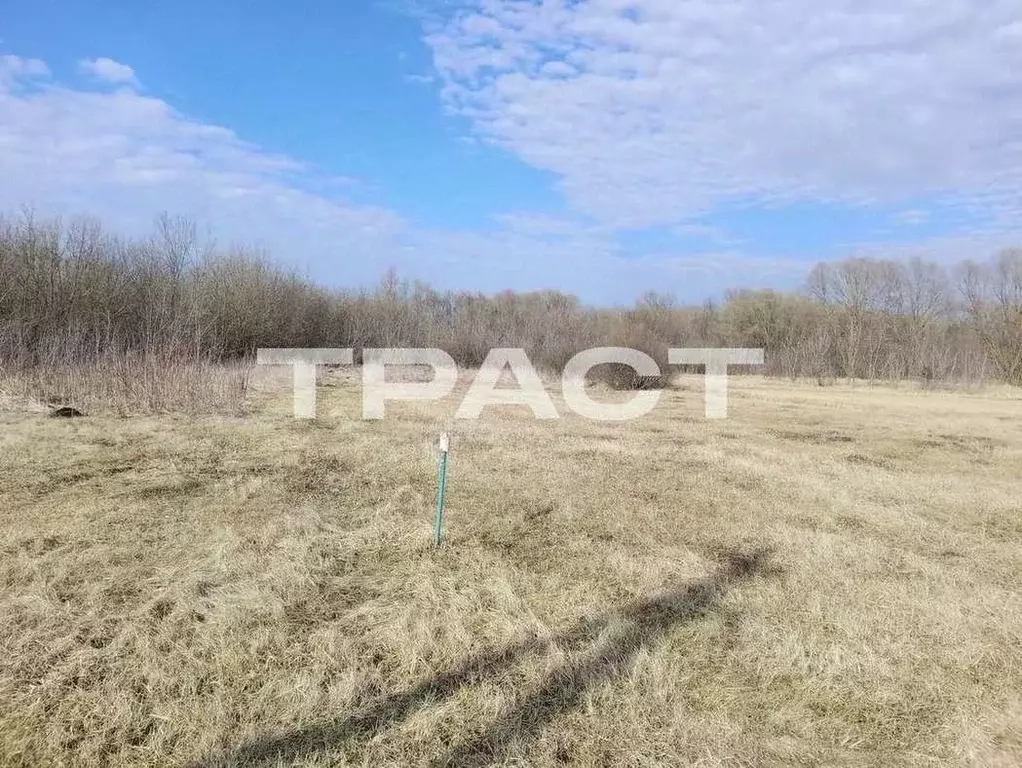 Купить Дом Рогачевка Новоусманский Район