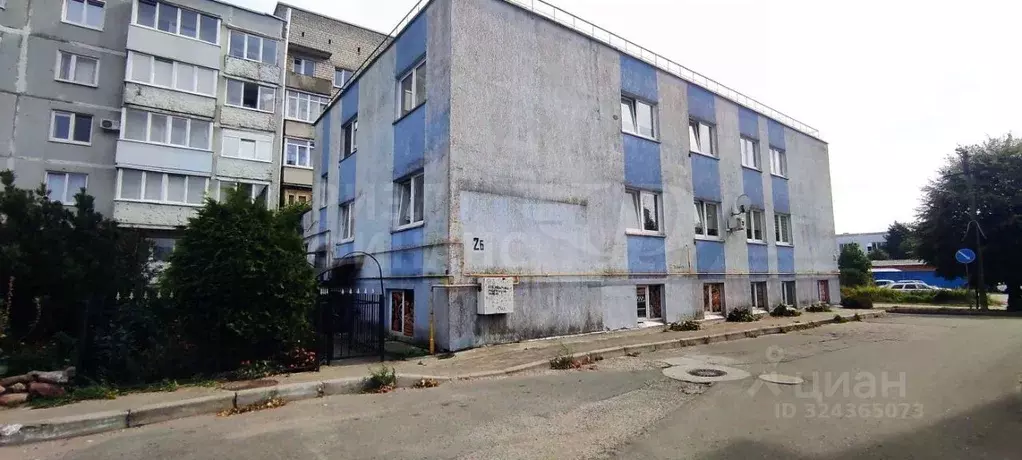 Помещение свободного назначения в Калининградская область, Светлый ул. ... - Фото 2