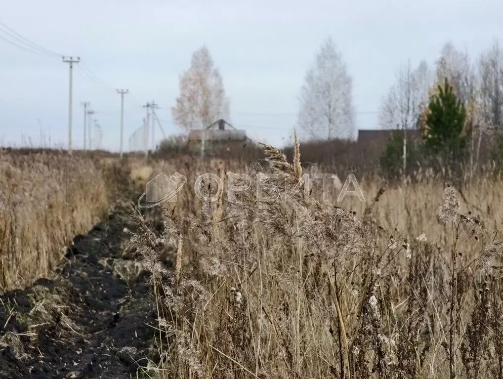 Участок в Тюменская область, Тюмень  (7.15 сот.) - Фото 1