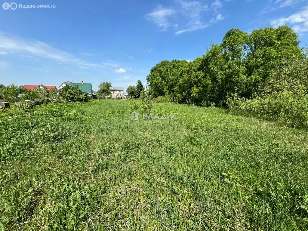 Участок в Богородский городской округ, деревня Новое Подвязново (8.88 ... - Фото 1