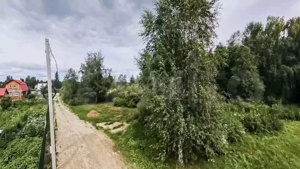 Участок 5,3 сот. (СНТ, ДНП) - Фото 0