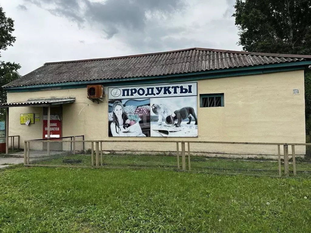 Торговая площадь в Амурская область, Ивановский муниципальный округ, ... - Фото 1