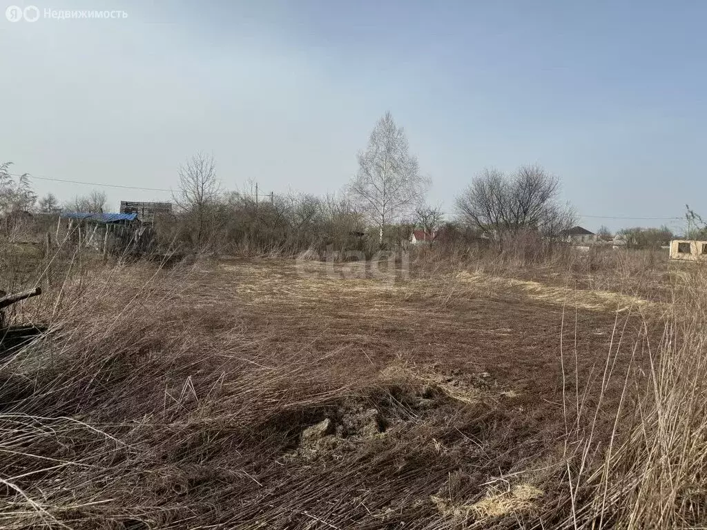 Участок в Брянск, садоводческое товарищество Надежда (4.57 м) - Фото 1
