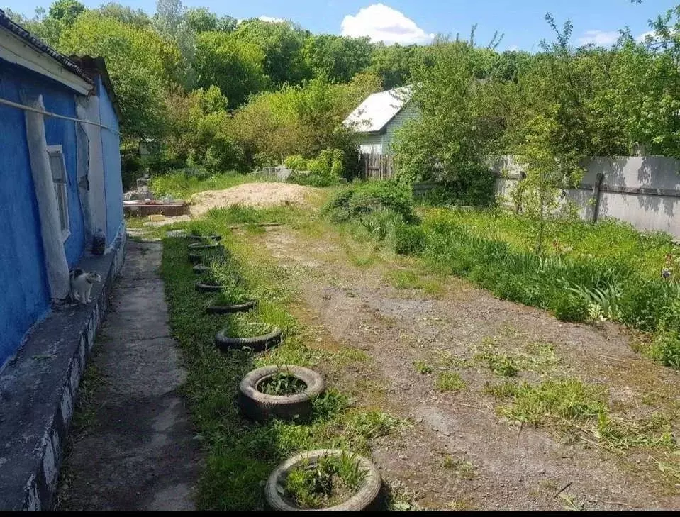 Дом в Белгородская область, Старый Оскол Пролетарская ул. (34 м) - Фото 1