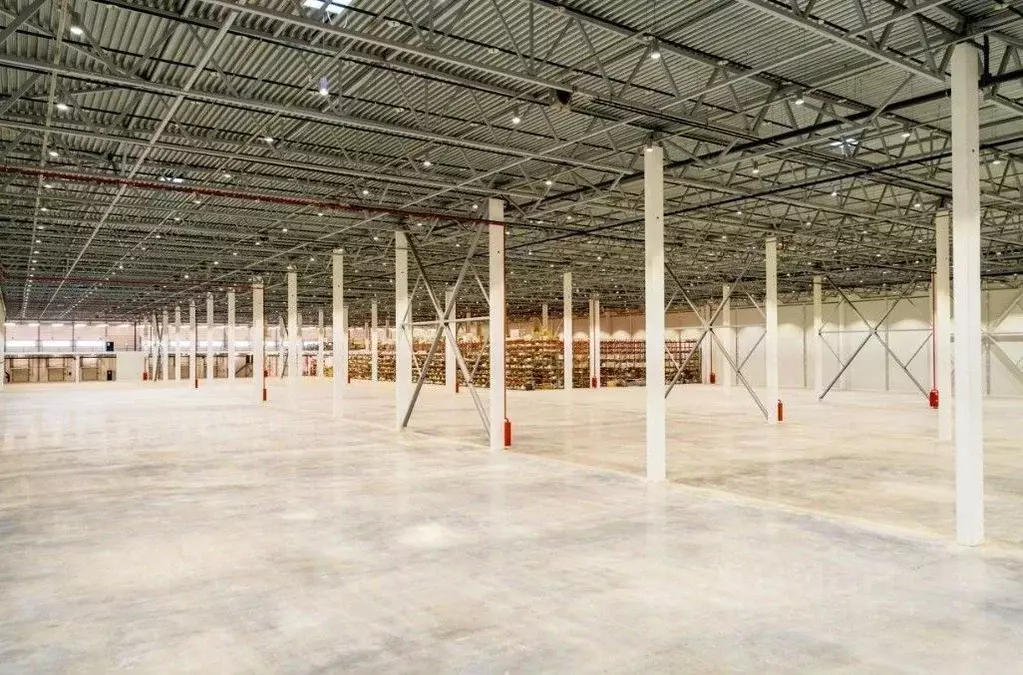 Склад в Санкт-Петербург пос. Парголово, Подгорная ул., 61 (10347 м) - Фото 2