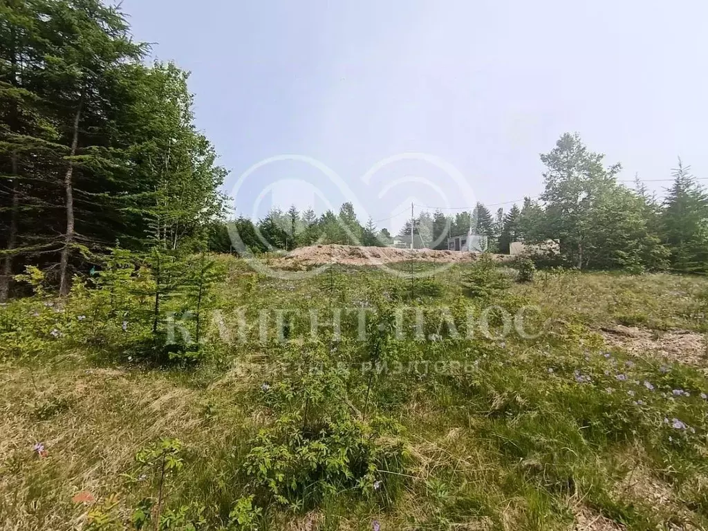 Участок в Сахалинская область, Корсаков ул. Матросова, 74/1 (9.0 сот.) - Фото 1
