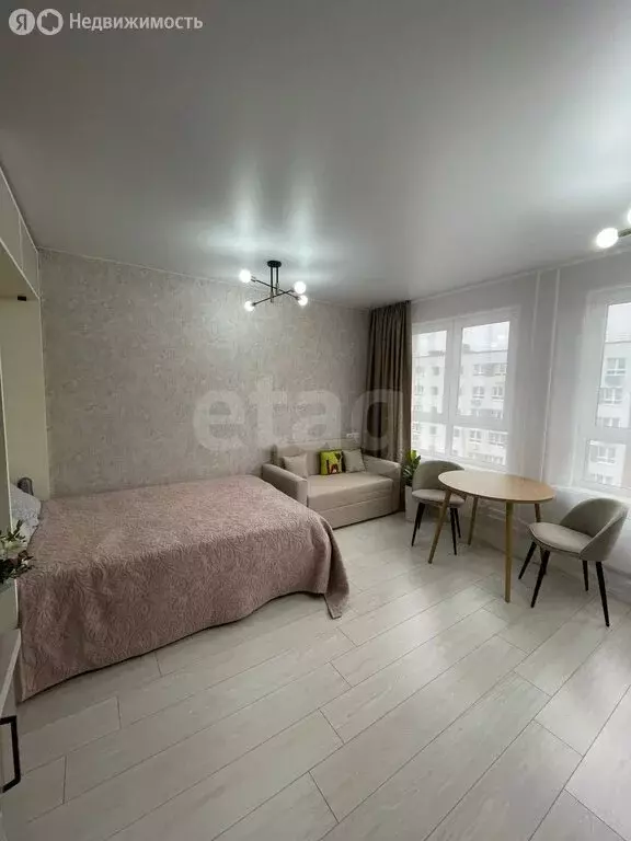 Квартира-студия: деревня Глухово, Романовская улица, 7 (26.3 м) - Фото 0