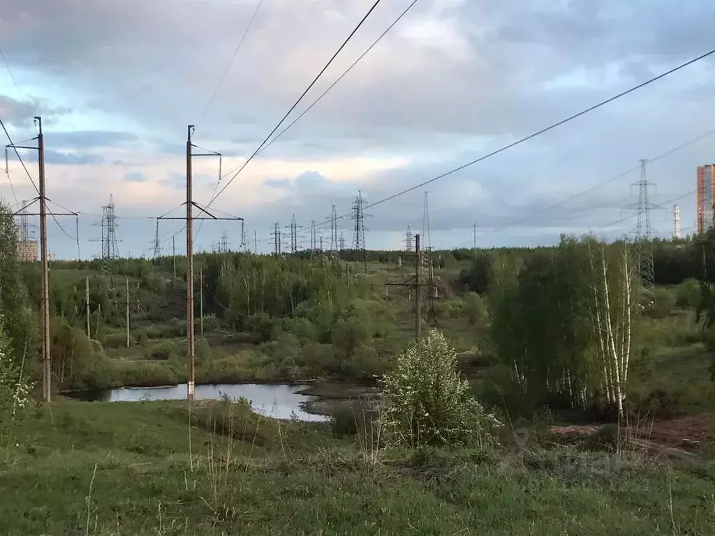 Дом в Нижегородская область, Нижний Новгород Колос СНТ, 285 (70 м) - Фото 2